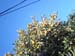 PAP_0039 (2)